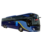 VIP Bus (2024)
